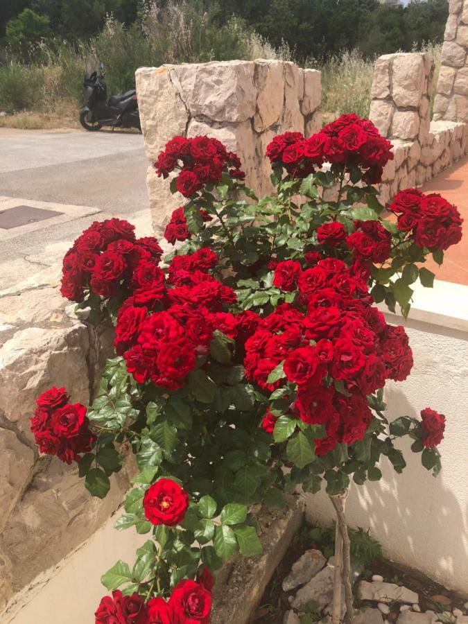 Appartamento Adriatic Blue Ragusa